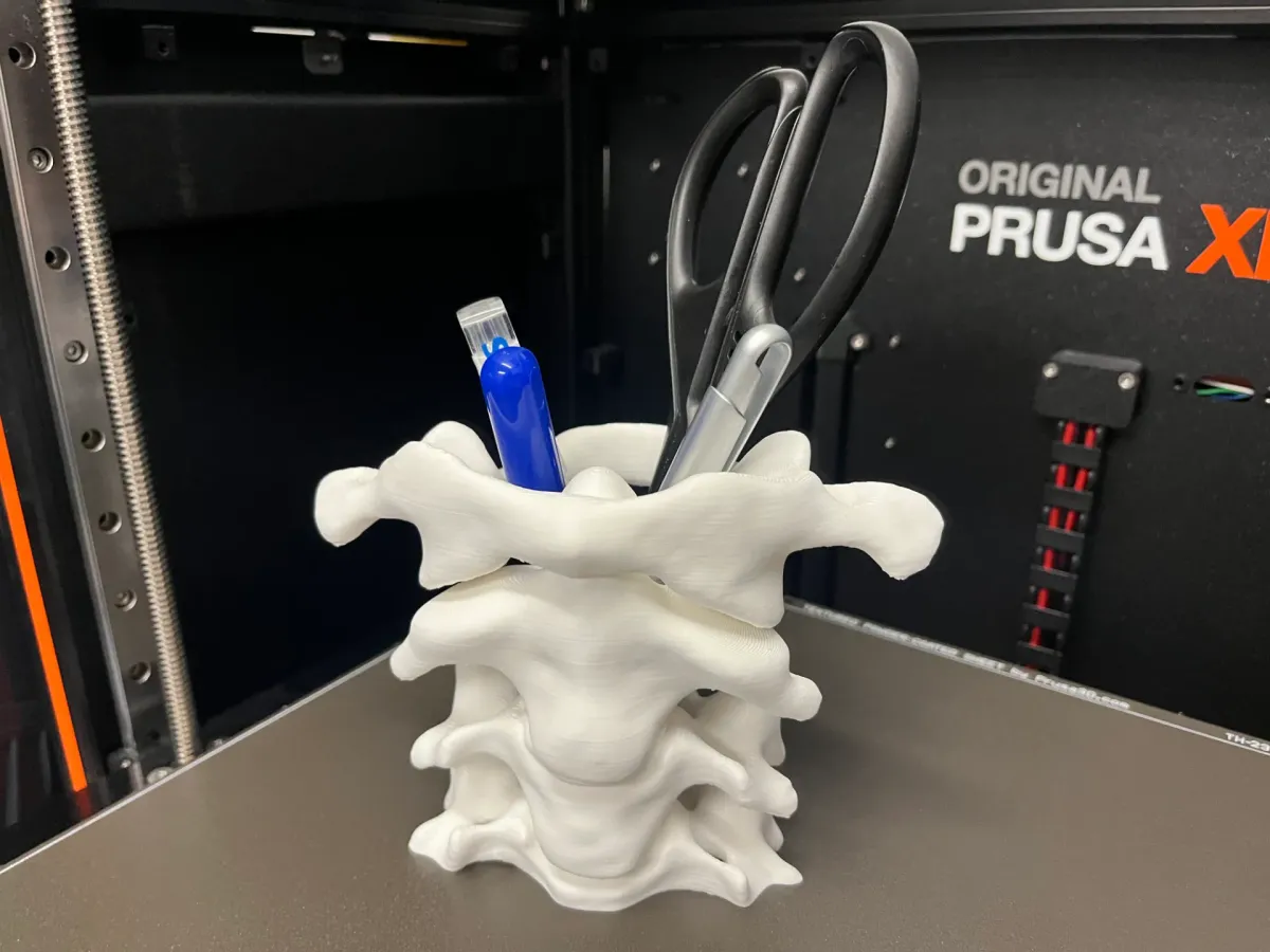 Portalápices con forma de columna vertebral
