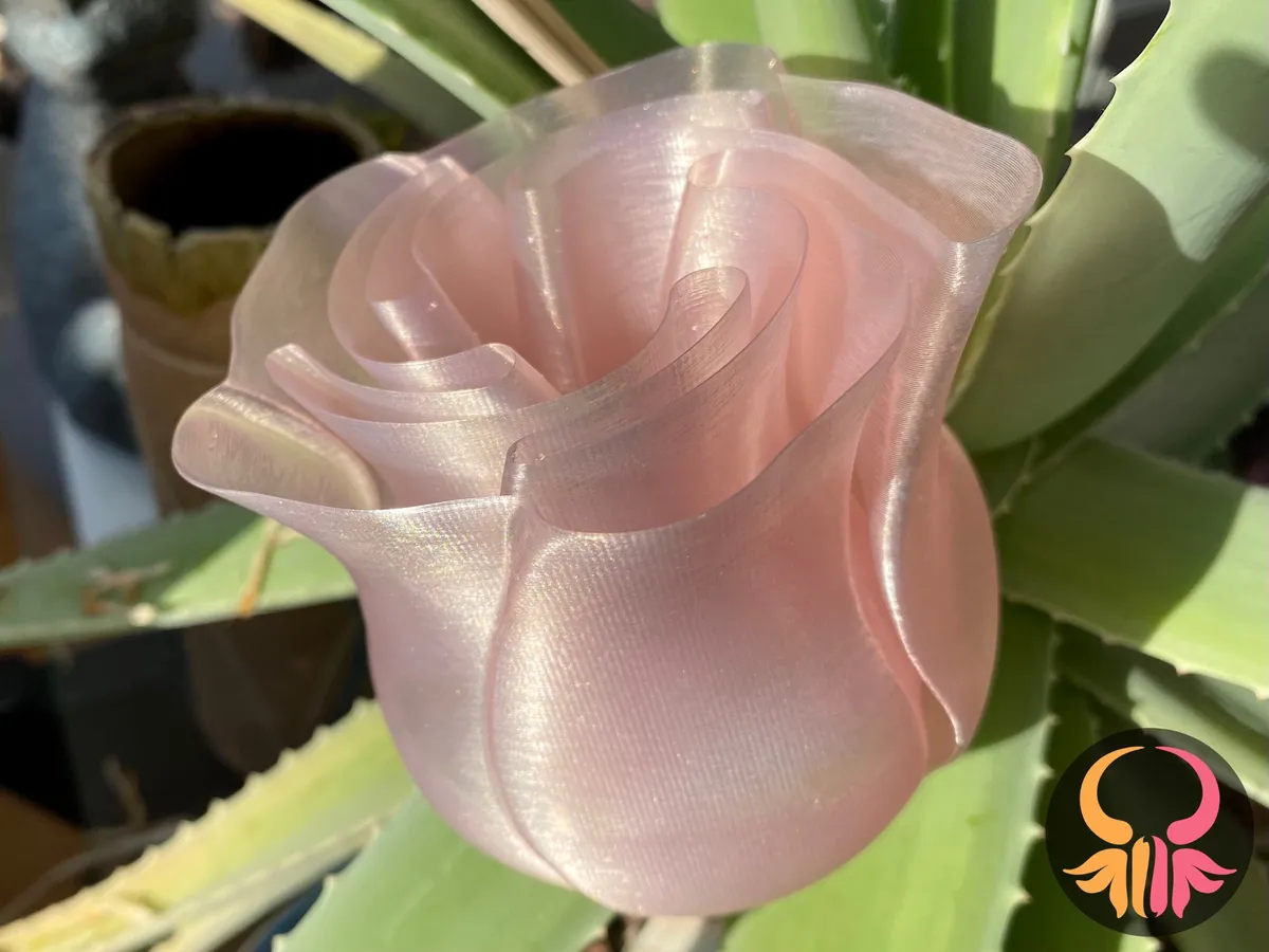 Rosa decorativa impresa en espiral continua