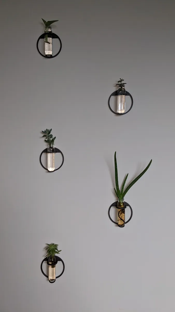 Soporte de pared para tubos de propagación