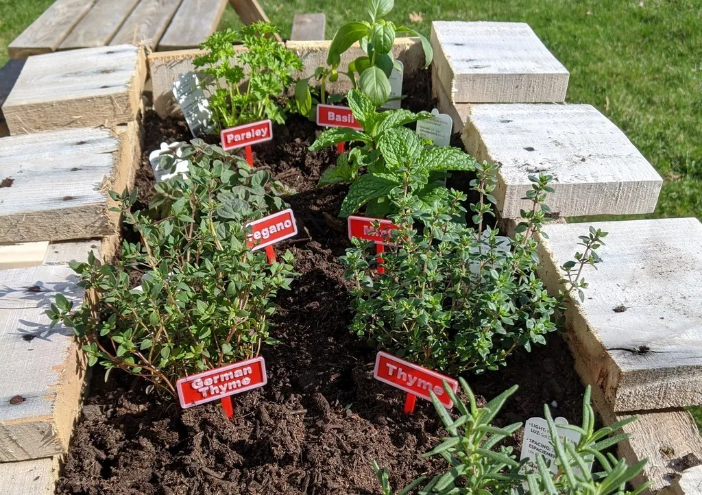 Marcador de planta para escribir con fibrón