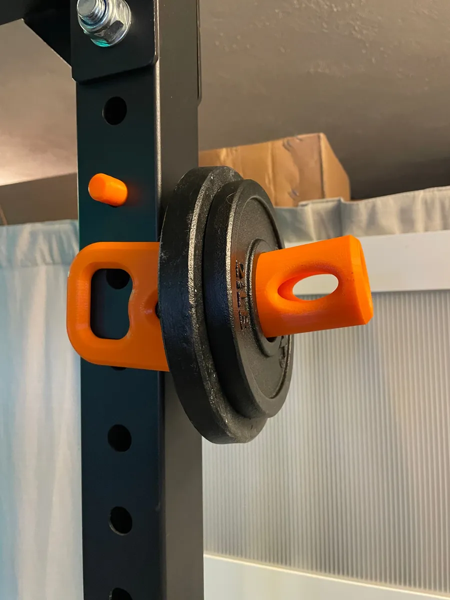 Soporte de discos para jaula de potencia