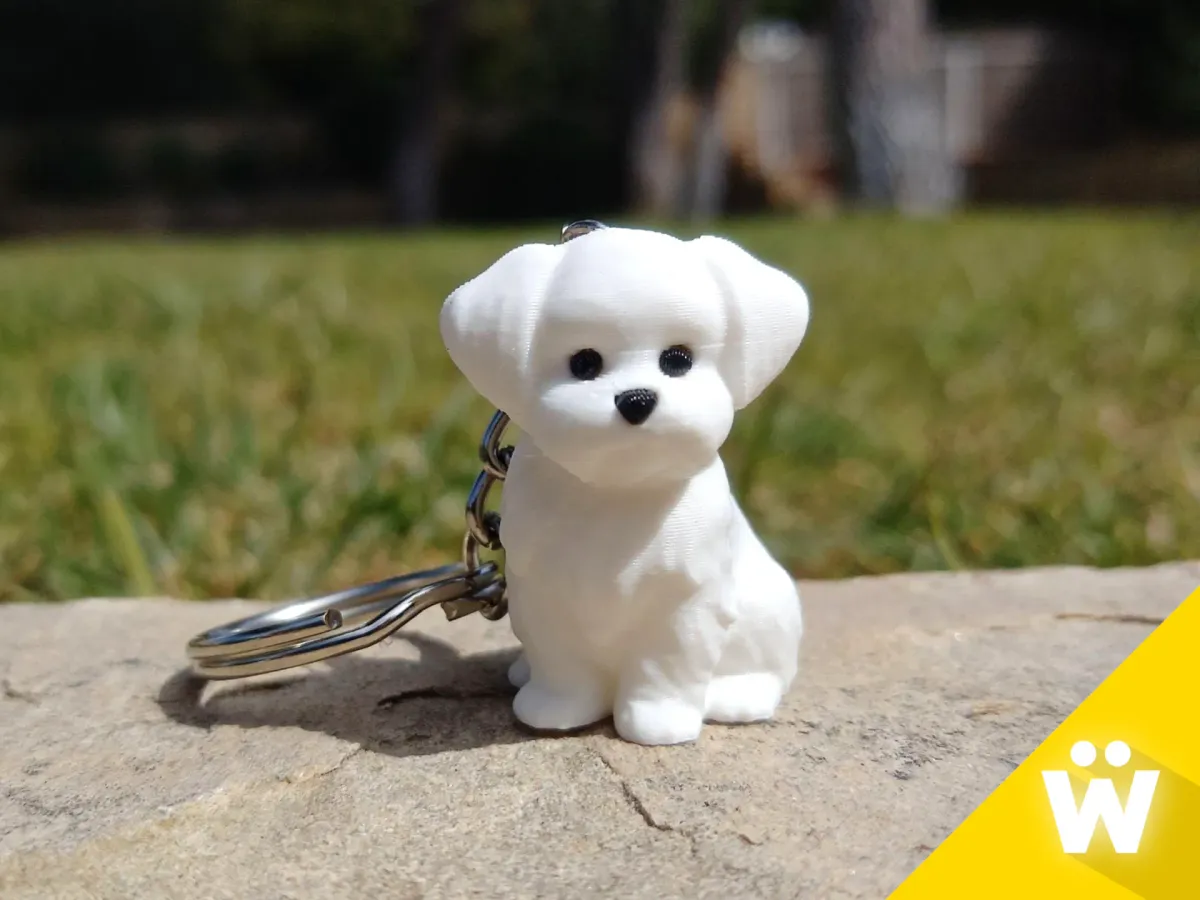 Llavero de perrito maltés de pelo largo