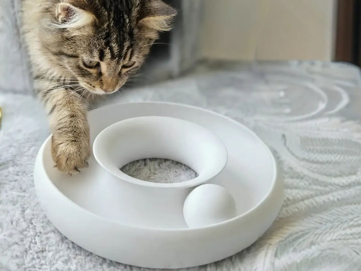 Pista circular con pelota atrapada para gato