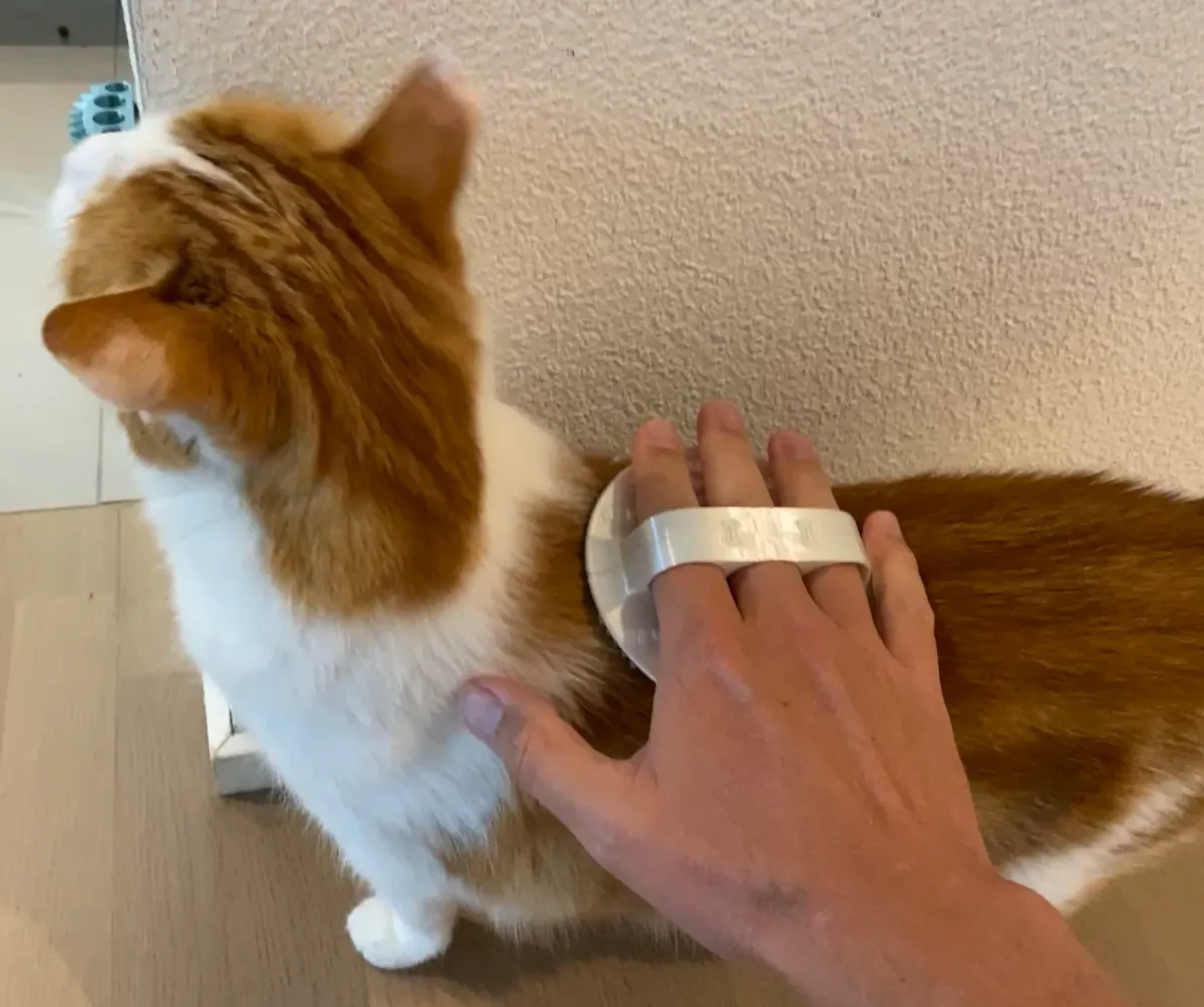 Cepillo para gato con púas de punta redondeada