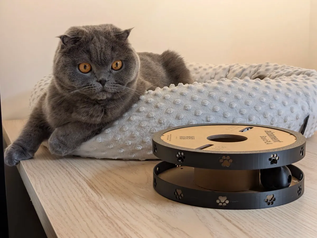 Juego de ingenio para mascotas con carretel reciclado