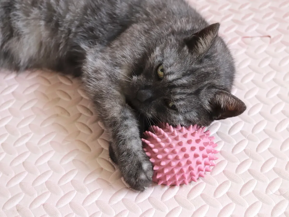 Erizo rascador de pared para gato