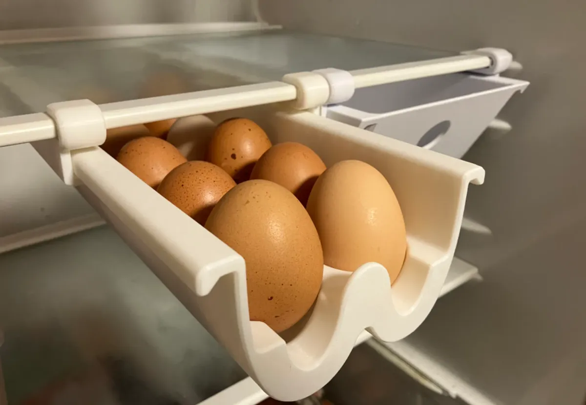 Caja para diez huevos con riel para heladera