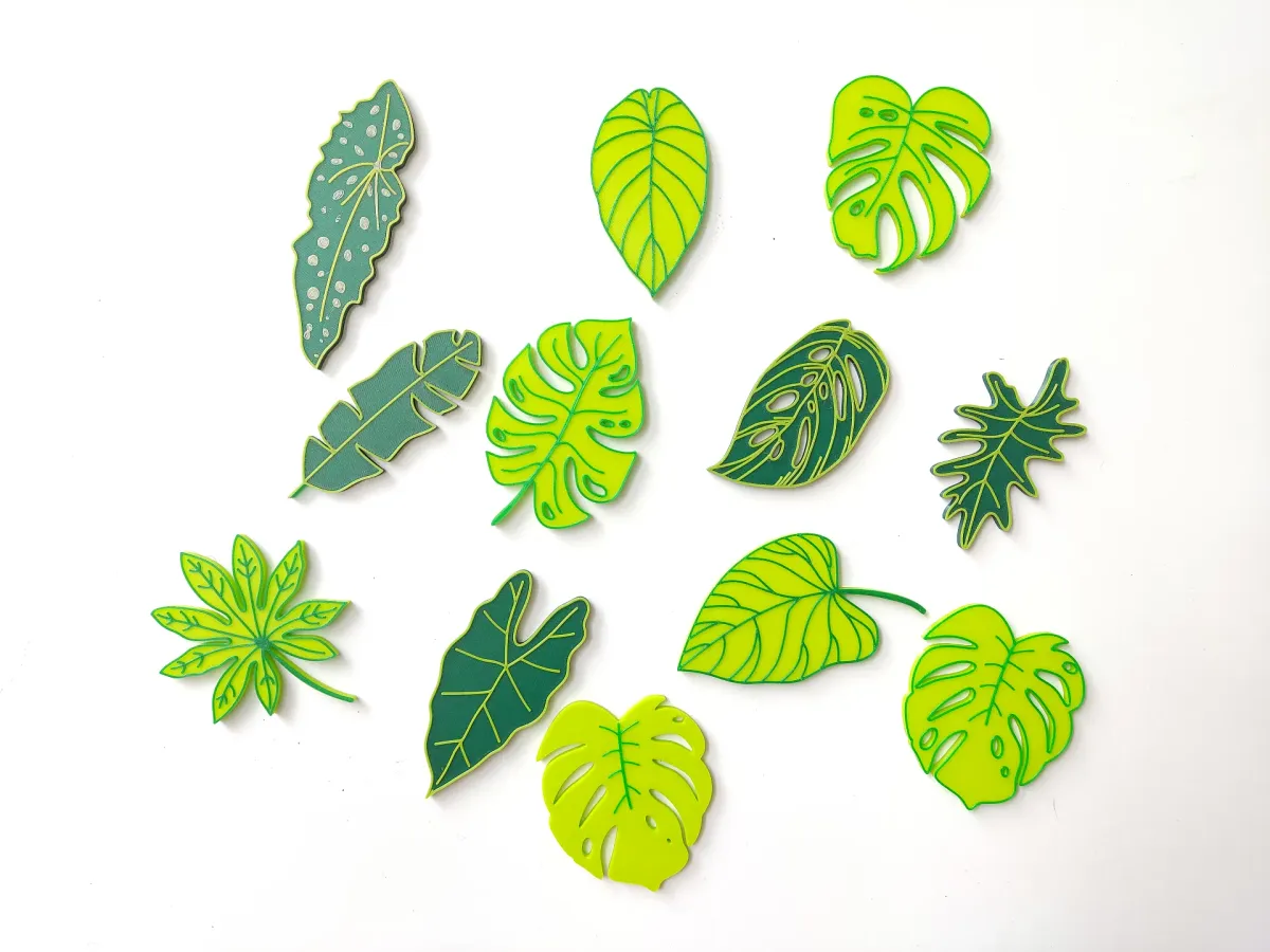 Imanes de hojas tropicales en relieve