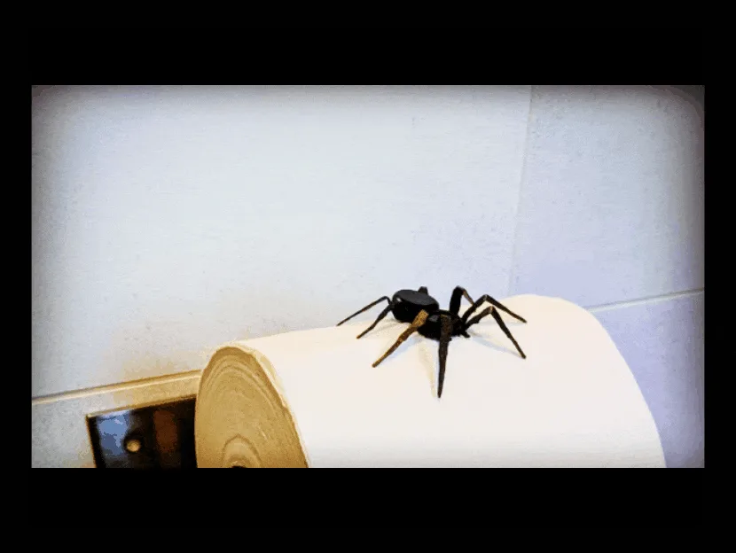 Araña de broma para el portarrollos