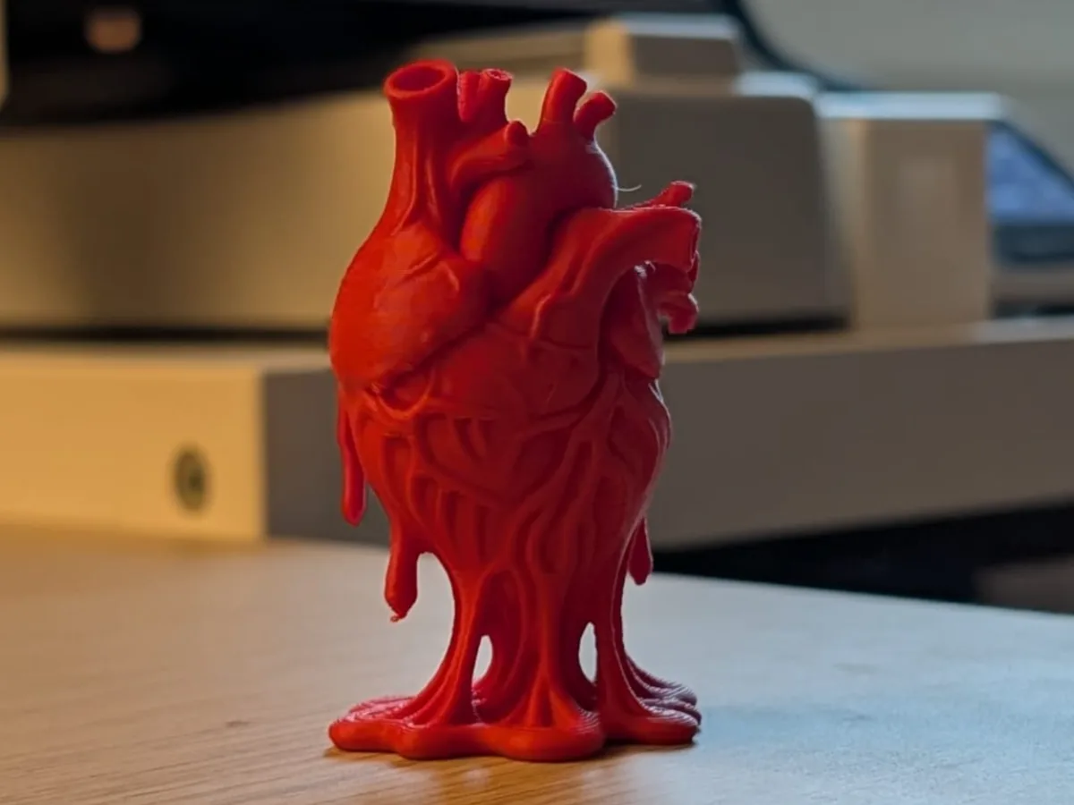 Corazón anatómico de adorno
