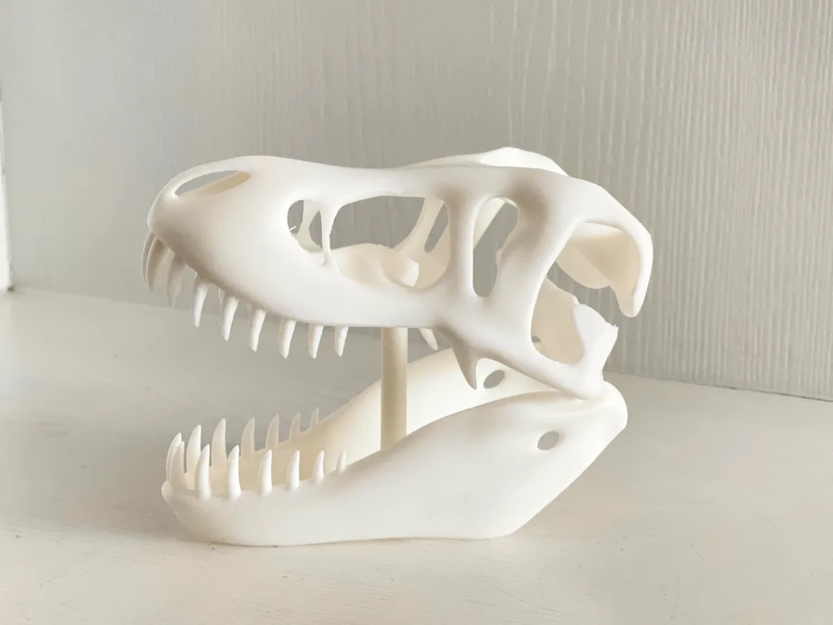 Cráneo de dinosaurio de adorno