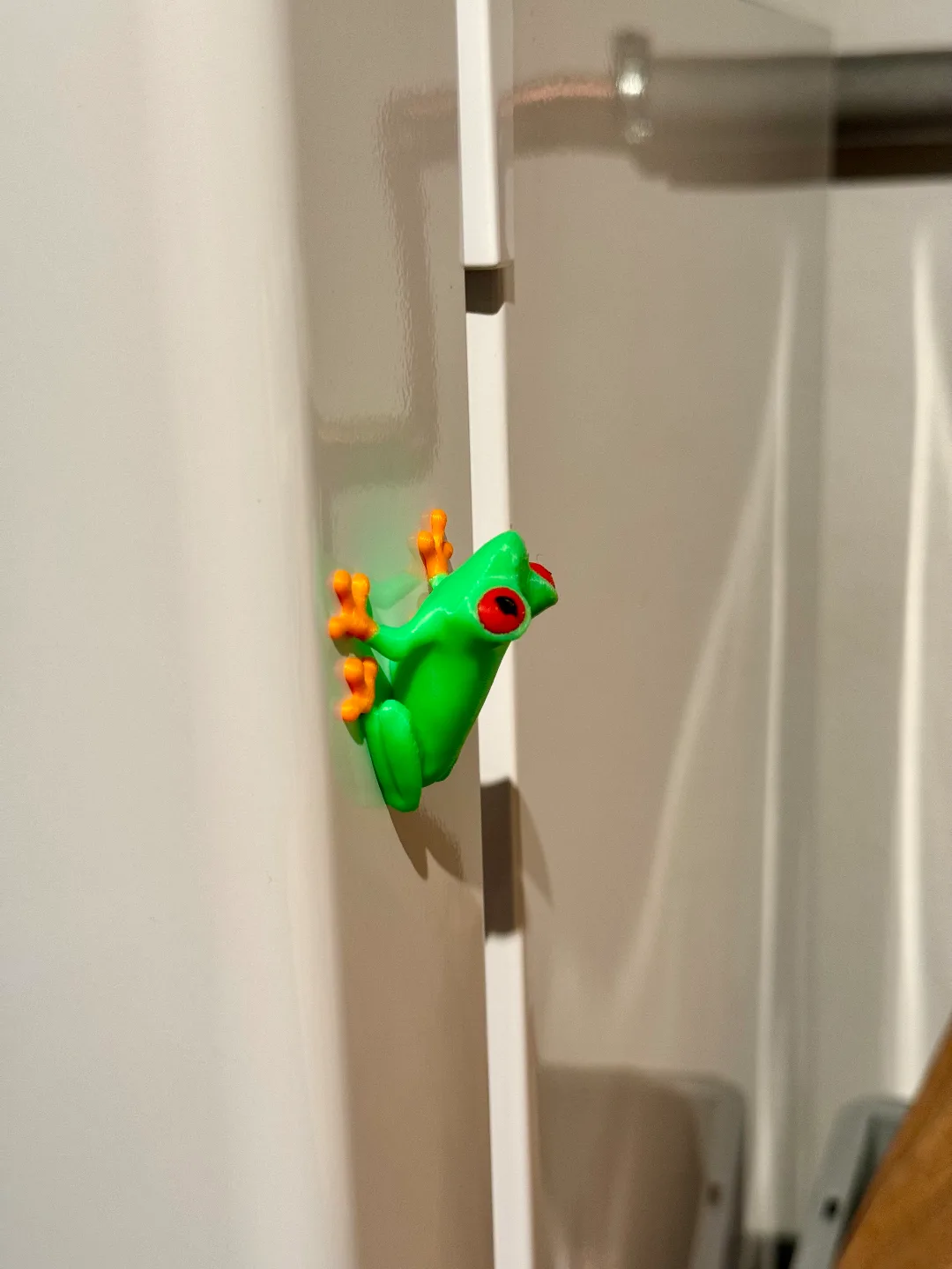 Rana arborícola imantada