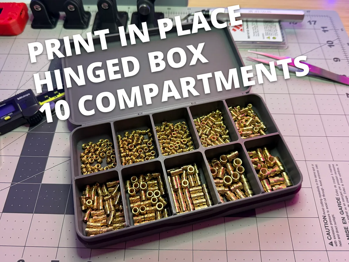 Caja con diez compartimentos y bisagra