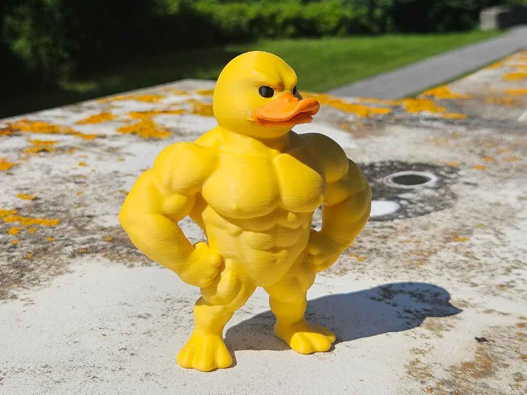 Patito musculoso