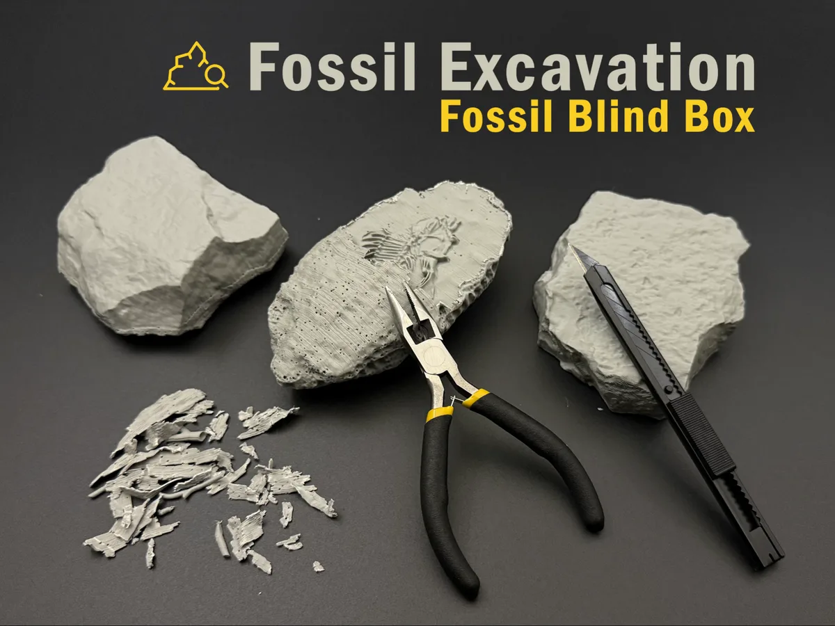 Caja de excavación de fósiles