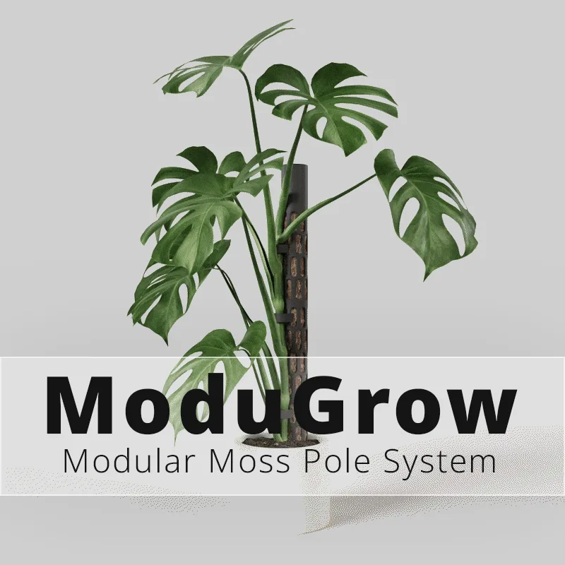 Tutor modular de musgo para plantas trepadoras