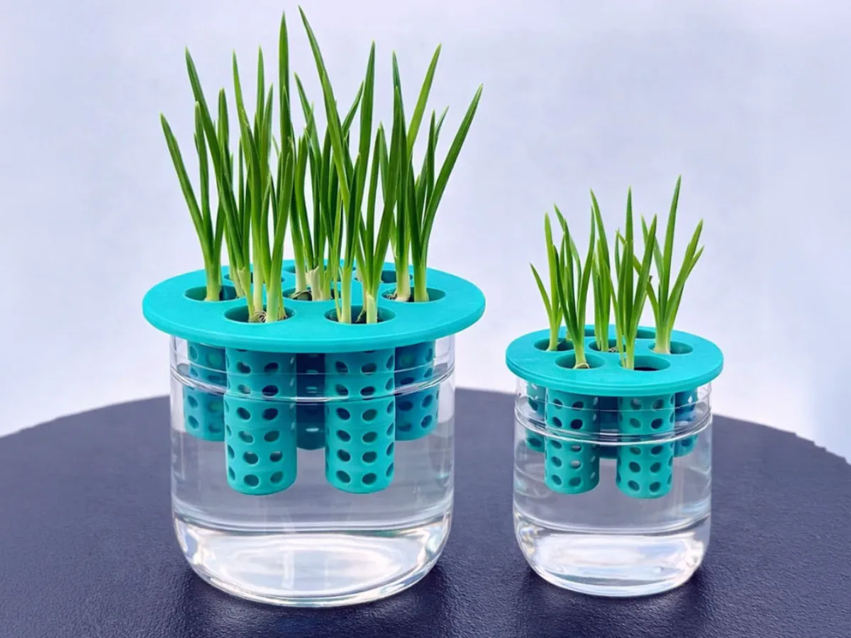 Tapa para germinar en frasco