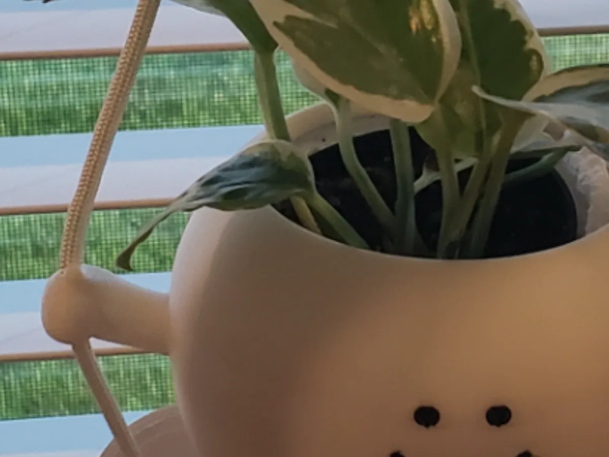 Maceta con carita en una hamaca
