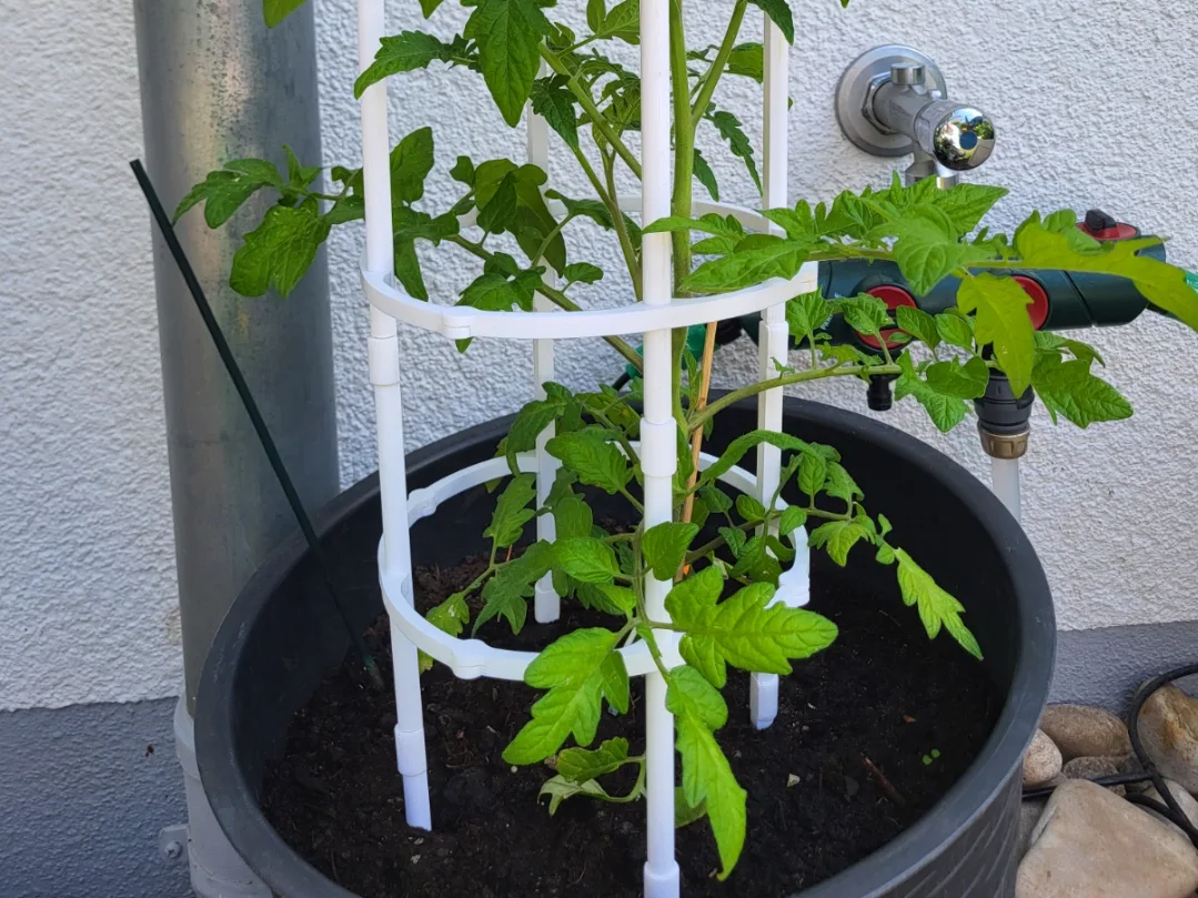 Aro modular para sostener tomateras