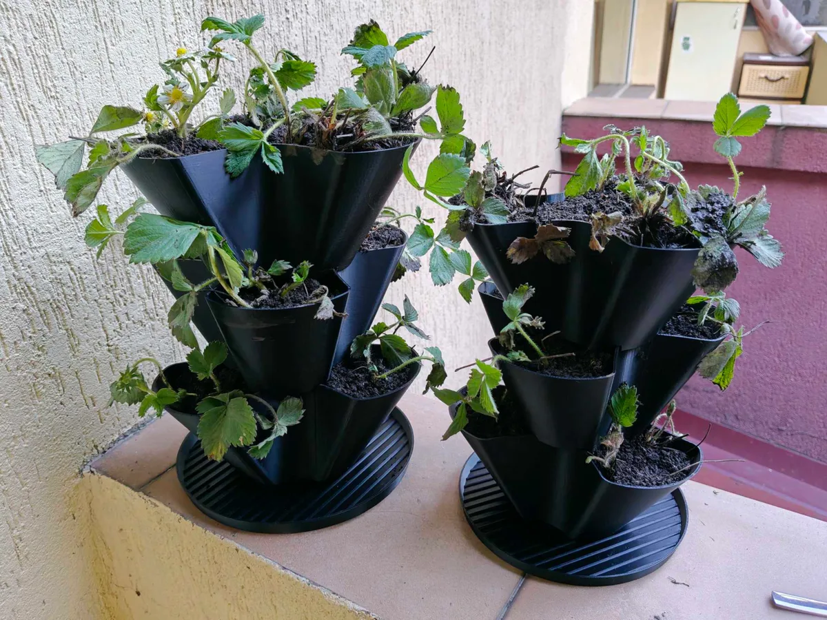Maceta vertical para frutillas