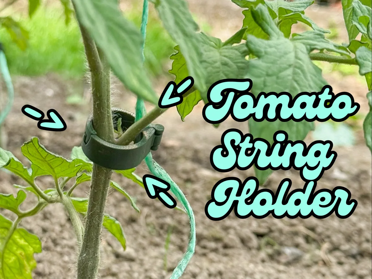 Clip de tomate para atar al hilo