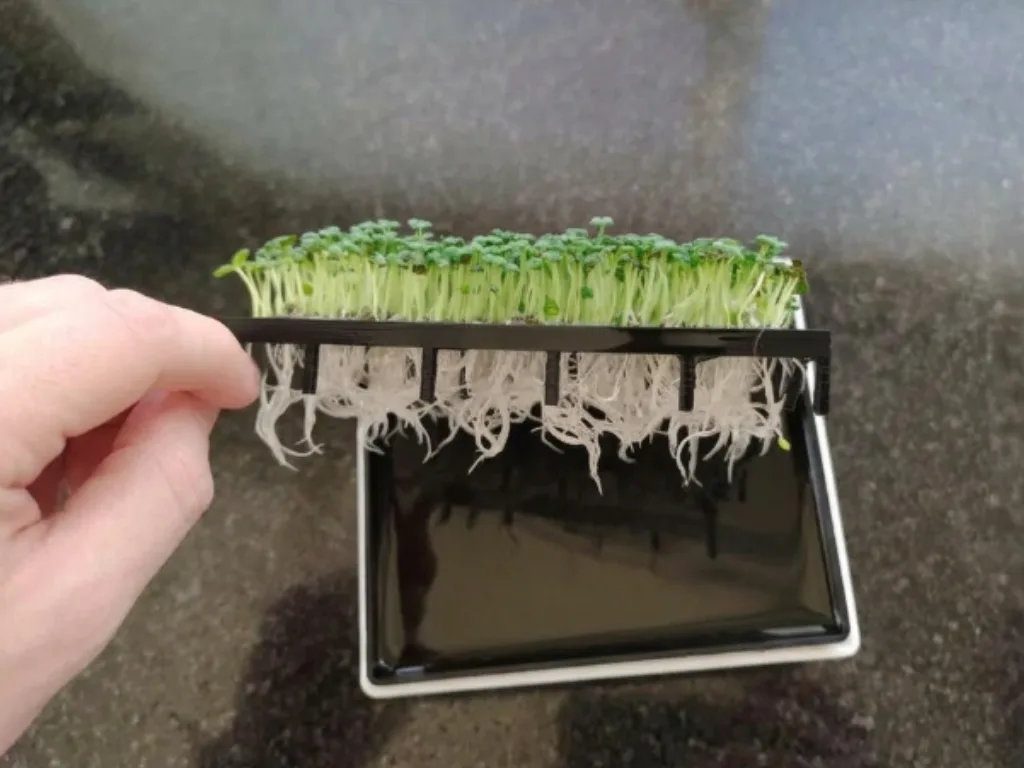 Germinador de semillas de mesada
