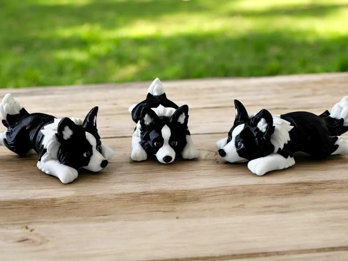 Cachorro border collie articulado