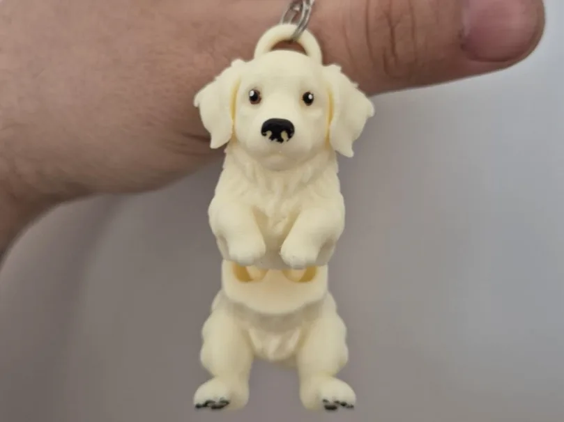 Golden retriever articulado con argolla