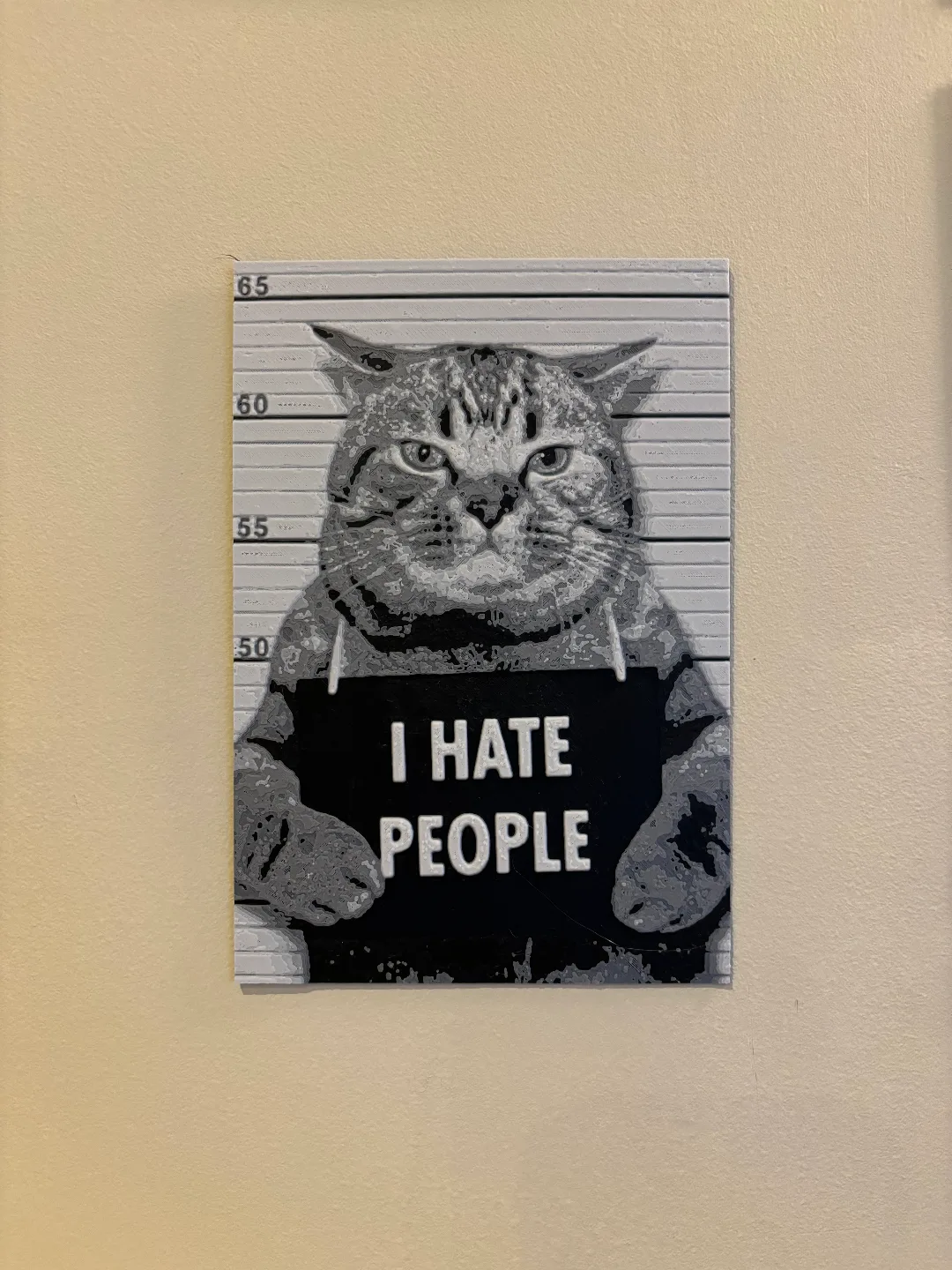 Lámina de gato en capas de color