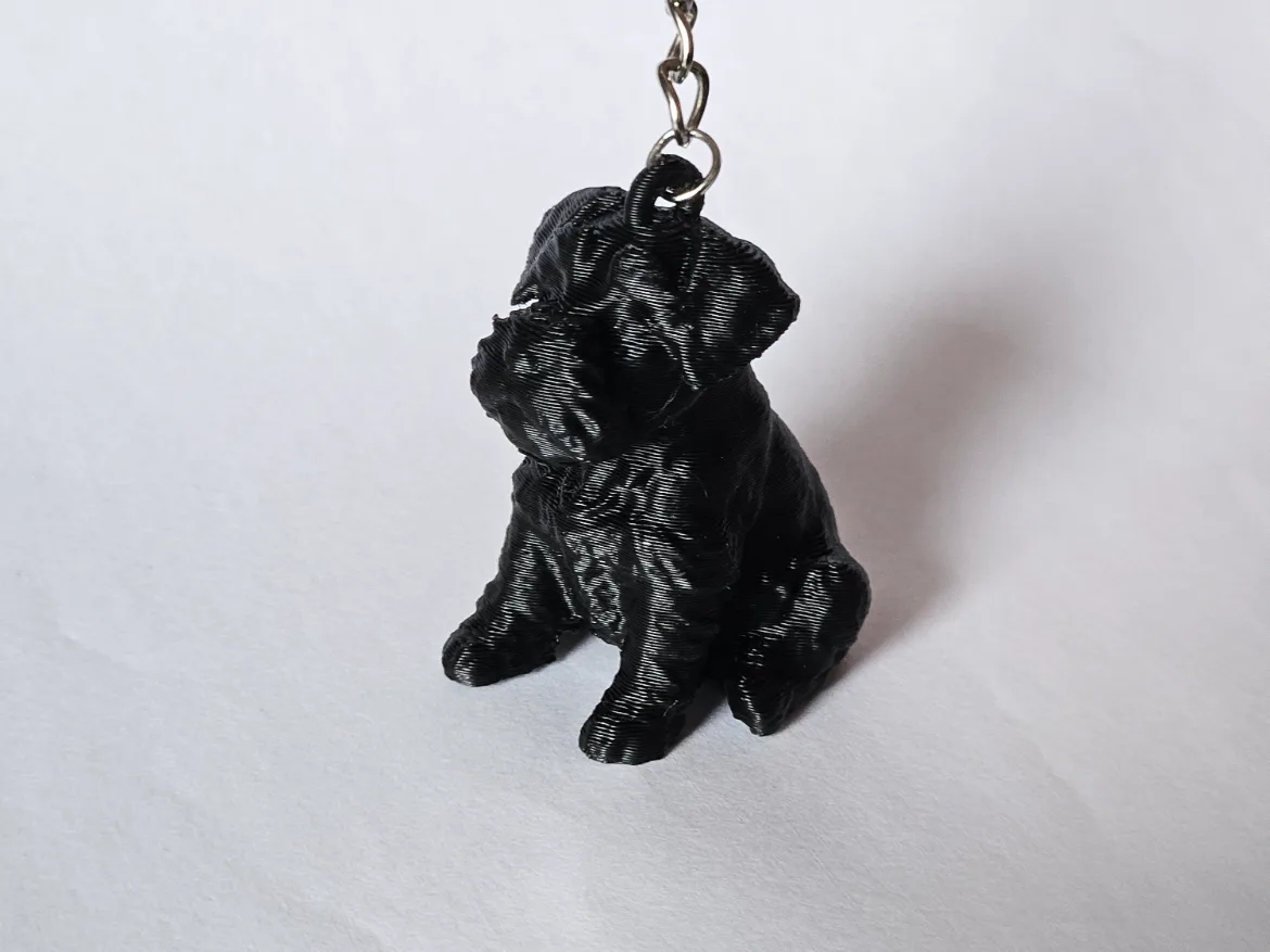 Llavero schnauzer en miniatura