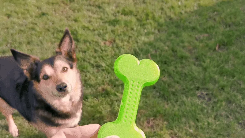 Hueso de juguete para perro