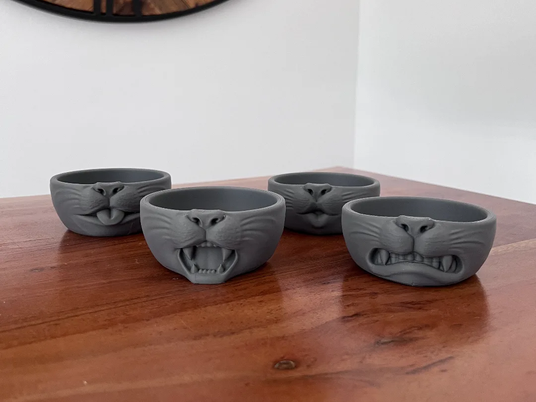 Comedero de gato con cara