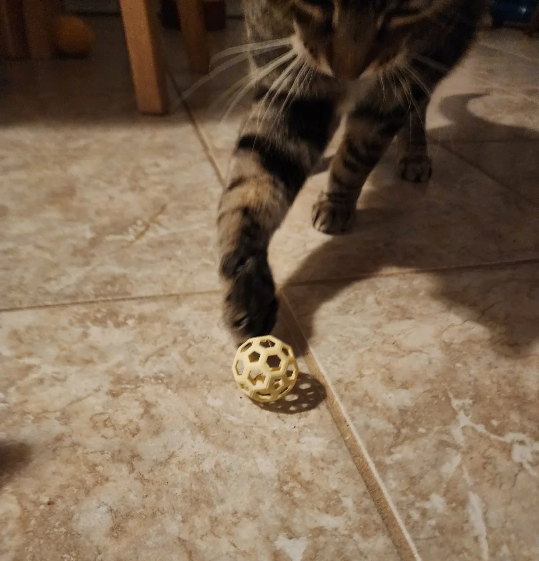 Pelotita de juego para gatos