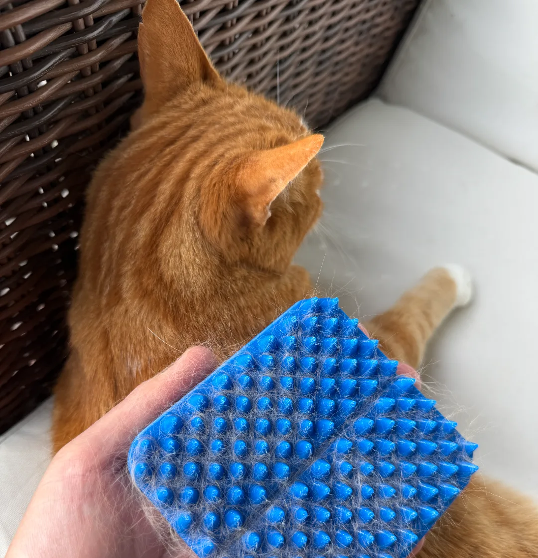 Cepillo profesional de goma para mascota