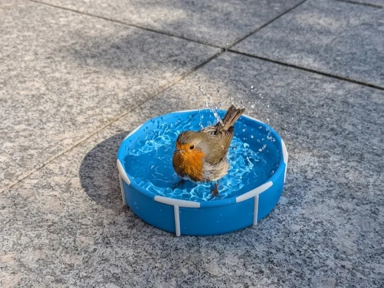 Bebedero de patio para pájaros