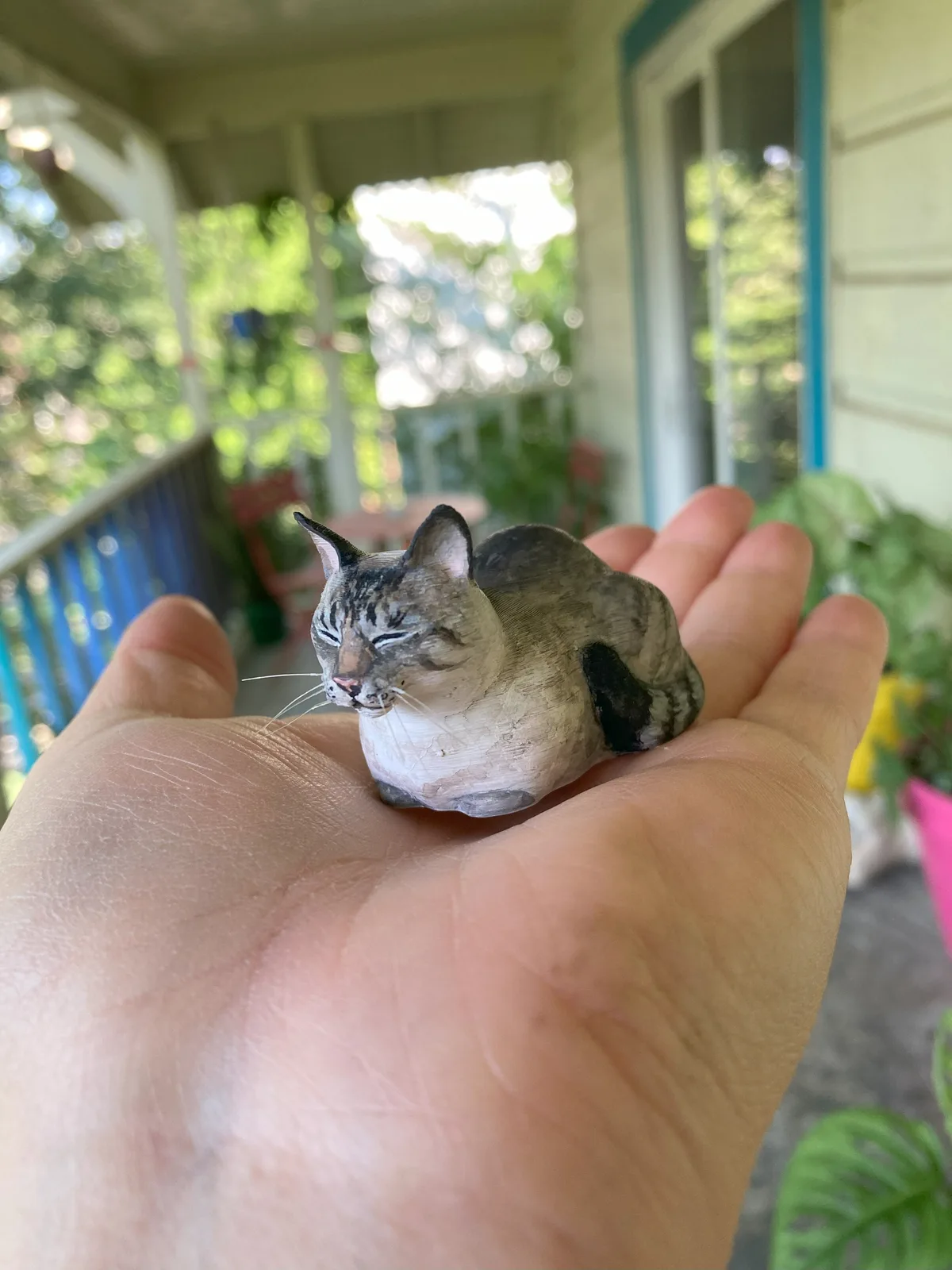 Gatito hecho un pan
