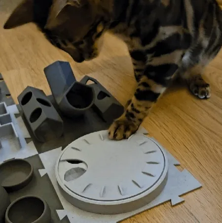 Rueda de premios para gatos