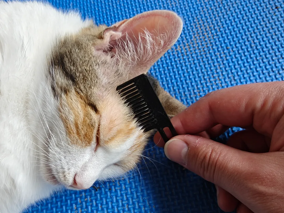 Peine chico para mascota