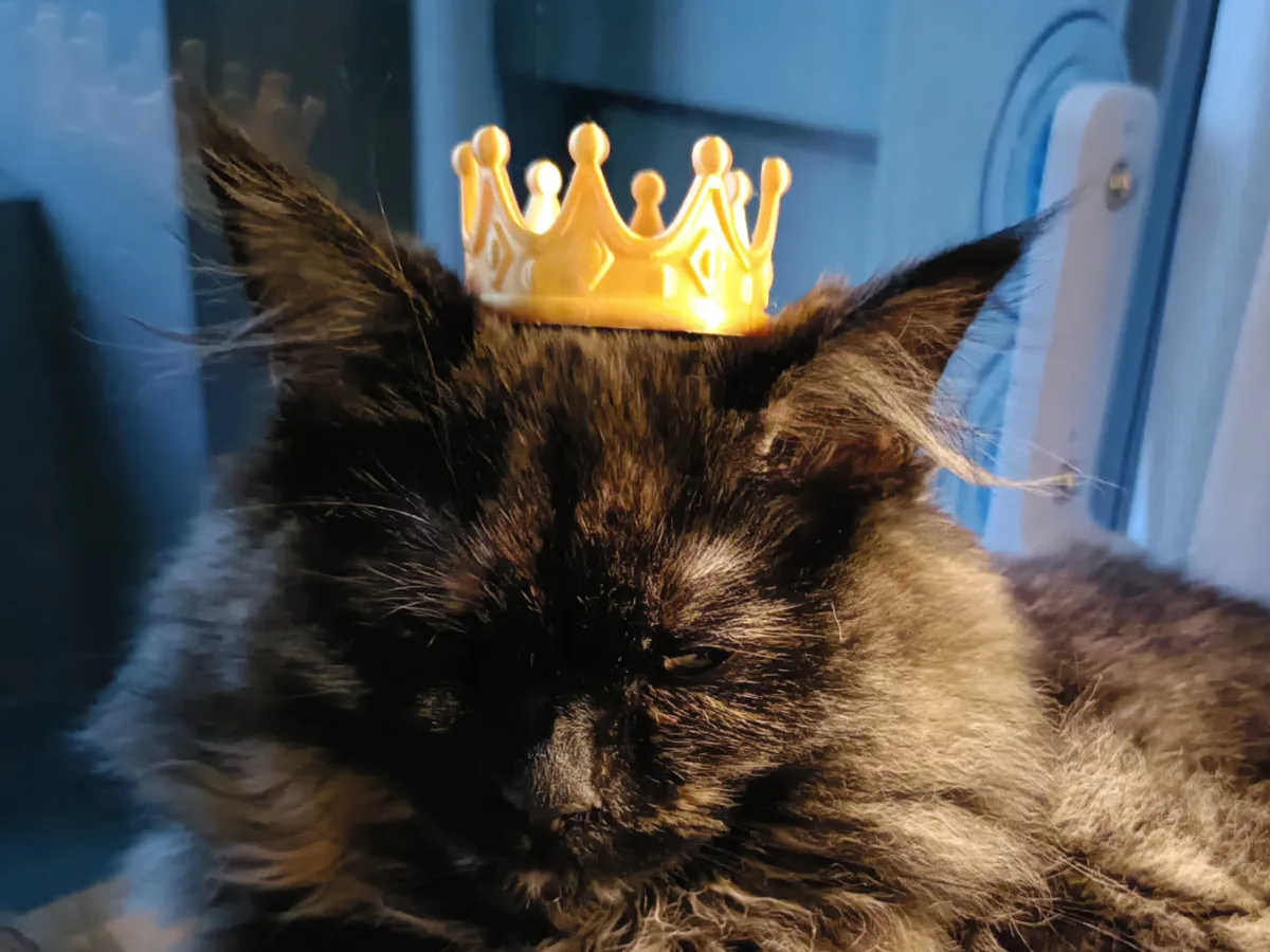Corona en miniatura para gato o perro chico