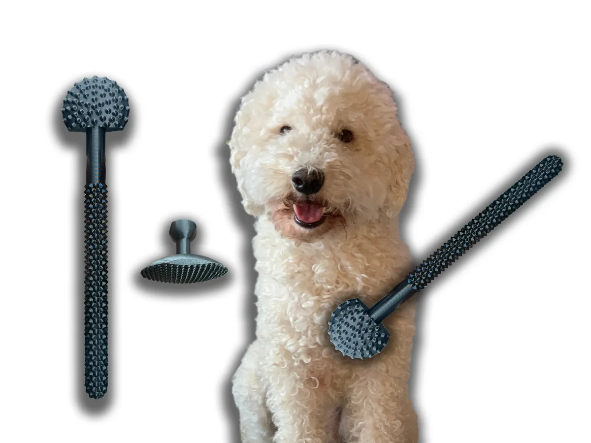 Juego de rascadores para mascota