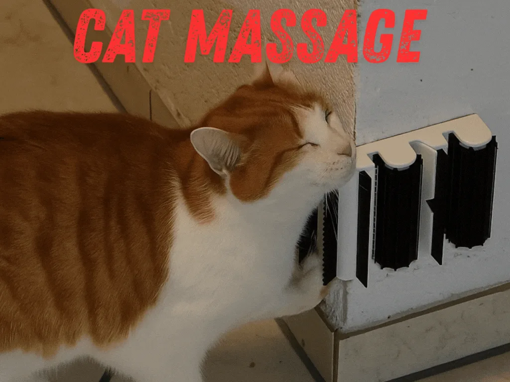 Rincón de masajes para gatos