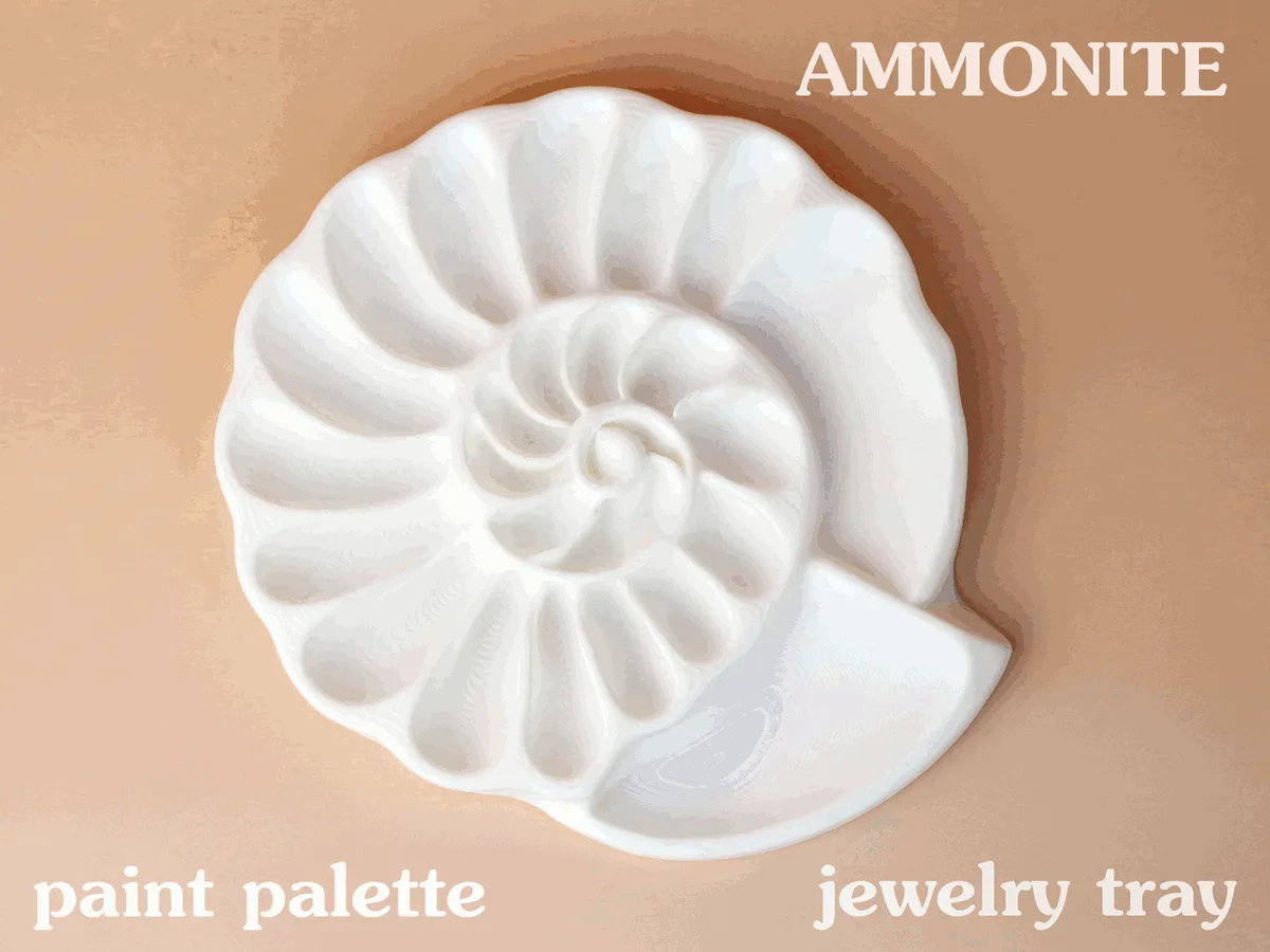 Bandeja amonita para joyas o pintura