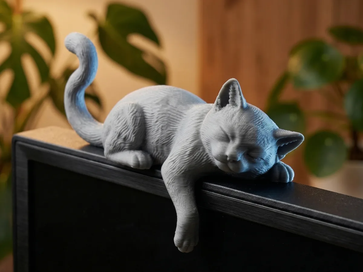 Gato durmiendo para el borde del monitor